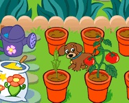Dora's magical garden online