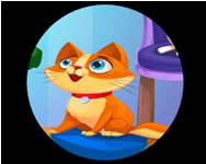 My pet clinic legjobb játékok HTML5 játék